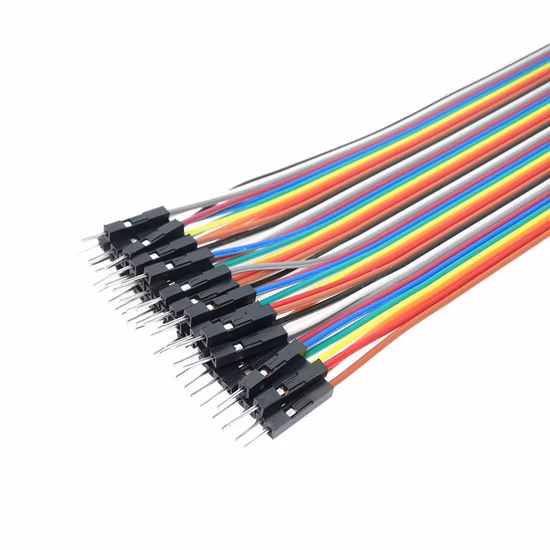 40pin 20cm 2.54mm Row Male to Male (M